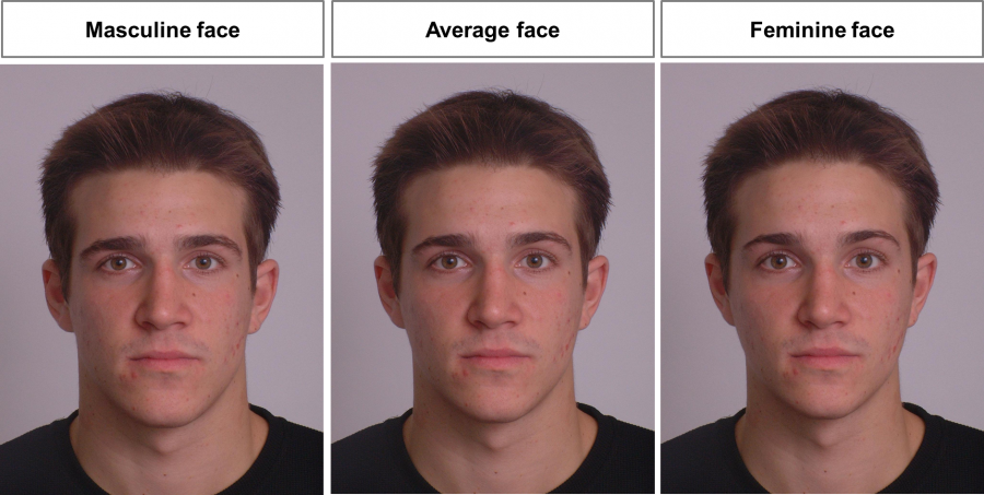 Facial Attractivness 5
